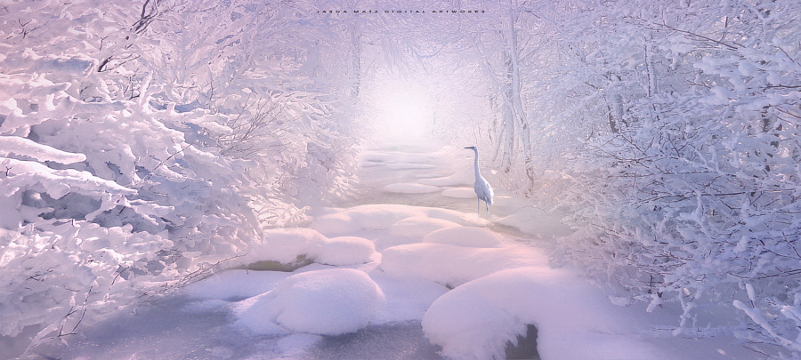 drxgonfly:  Winter Fairytale (by   Jasna Matz)