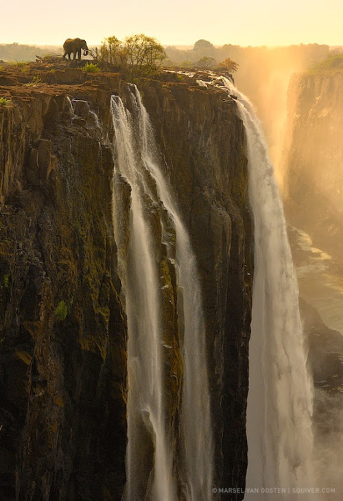 Photography by Marsel Van Oosten.(via I need a guide: marsel van oosten)