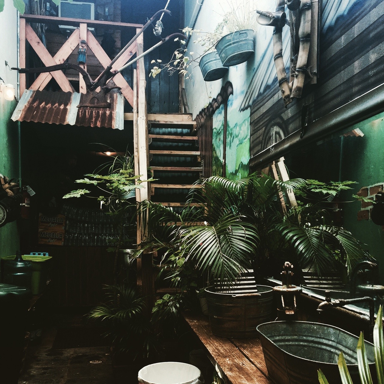 versantfleurs:  Puerto Rico