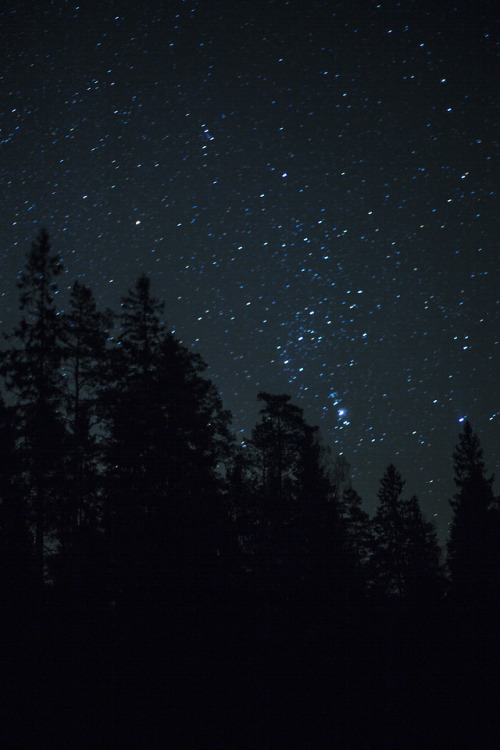 Watching the night sky on new years eve, the stars are much prettier than fireworks. https://jaspers
