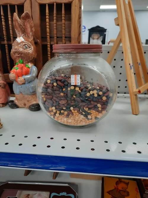 pogfey:shiftythrifting:Beans? at Goodwill in Petersburg VA 