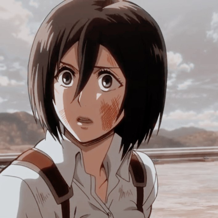 Mikasa Ackerman Attack On Titan Aesthetic Pfp - img-metro