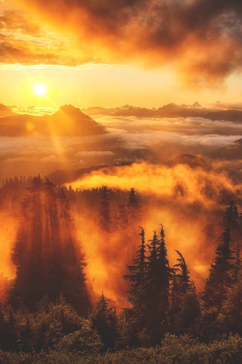 wnderlst: Evergreen Mountain Lookout, Washington | Michael Matti