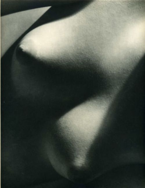 nobrashfestivity:Arthur Siegel, Etude de Nu, 1939