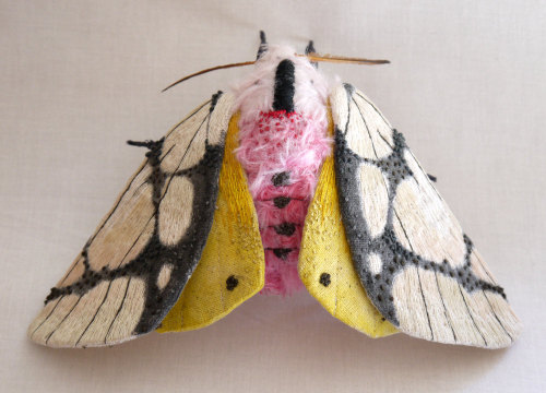 Large textile sculpture of a moth