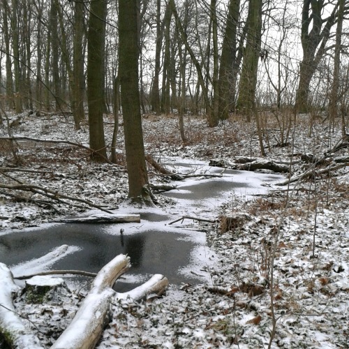 himbeerzuckerwattenperlen: Winter bike rides are so beautiful