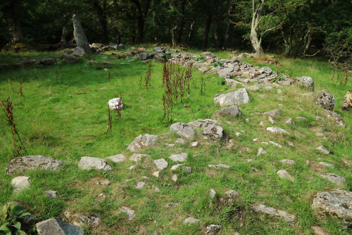 Coed Aber Iron Age Roundhouse, nr Abergwyngregn, North Wales, 28.8.18.This lovely Iron Age roundhous