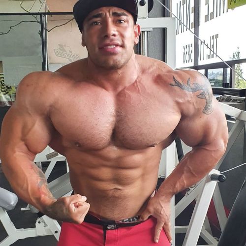 muscleryb:young massive muscle beastEmmanuel Longoria