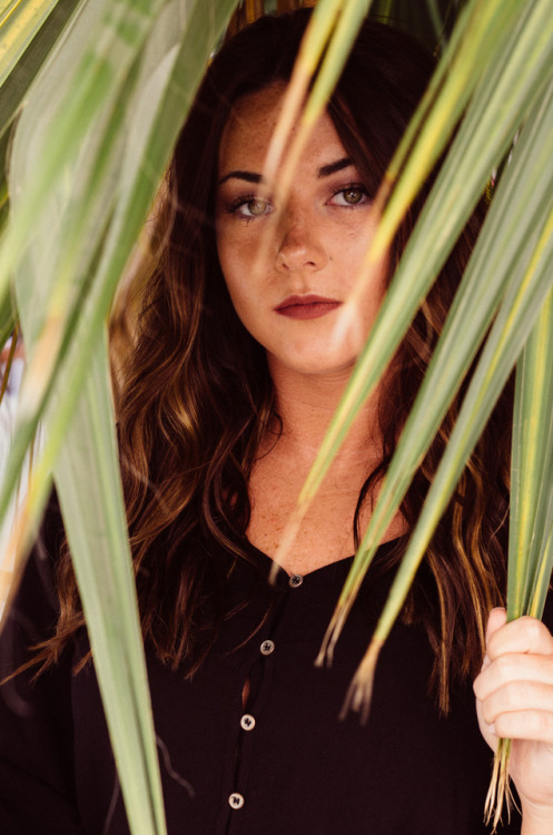 Palm Tree Portrait 01