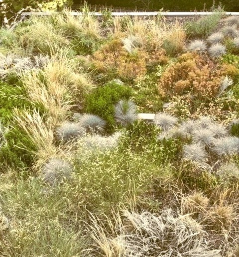 Flower Bed Landscape In Denver