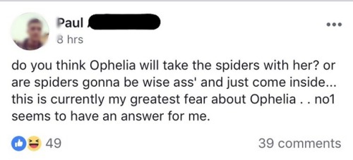 The spider fear is very real!