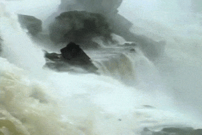 koryos:Great dusky swifts nest where few other birds dare: behind waterfalls.Penetrating the spray w