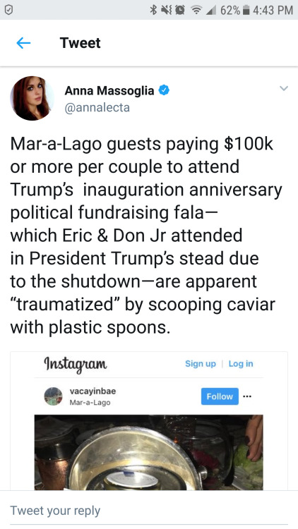 aqua-cultured - mvtk42 - weavemama - weavemama - weavemama - rich people paid 100k to go to trump’s...