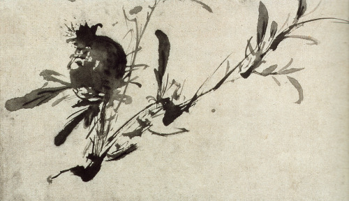 iamjapanese:Xu Wei（徐渭 Chinese, 1521-1593）墨花圖