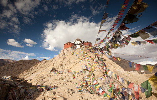 Namgyal Tsemo Monastery, Leh Ladakh, India