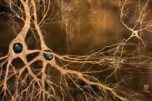 neurosciencestuff:You Wish Your Neurons Were This PrettyWhen Greg Dunn finished his Ph.D. in neurosc