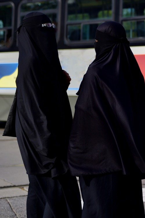 I took these photographs 10 days ago on Parliament Street, Toronto, in the Province of Ontario. 