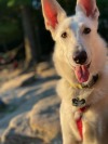 It was a beautiful summer evening for a date night hike with my girls, Astrid had