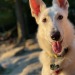 It was a beautiful summer evening for a date night hike with my girls, Astrid had