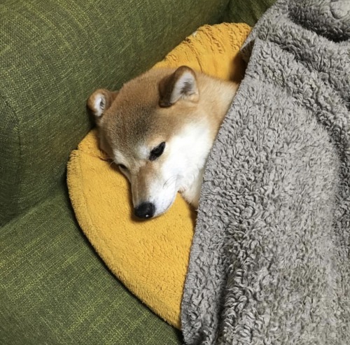 Just Thinkin