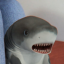 blinkshork