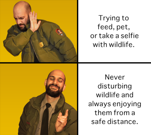 beggars-opera:I’m so here for park rangers recently alternating between taking down the government and making wholesome memes