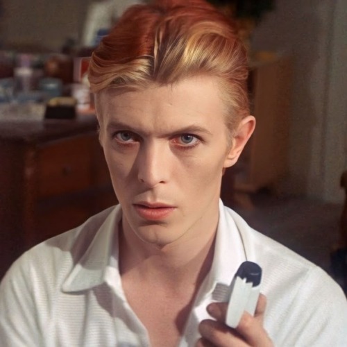 If U Could Style Sams Hair Anyway U Want What Would U Do