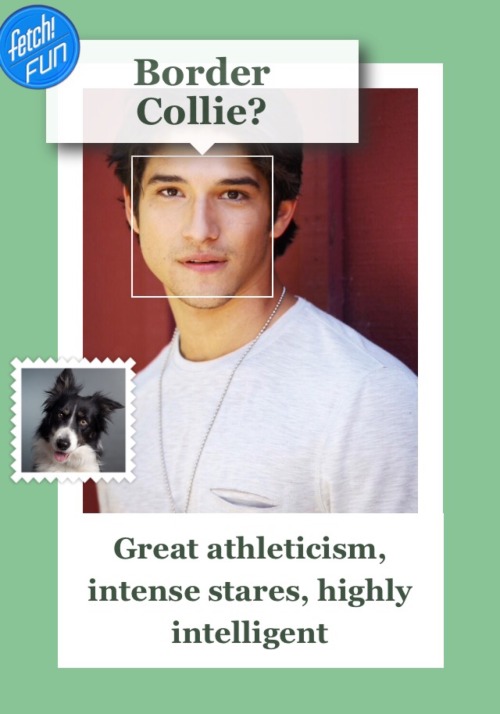 Someone Please Explain How These Are So Accurate