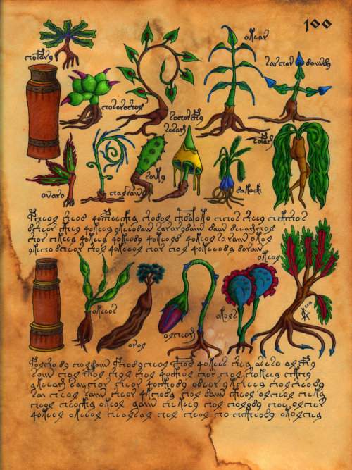 Parte del Manuscrito Voynich, retocado por computadora.