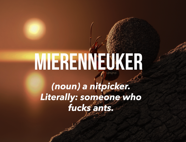 buzzfeed:  Dutch words you should know. [x] 