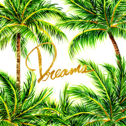 chrisbmarquez:  Palm Tree Dreams   Illustration