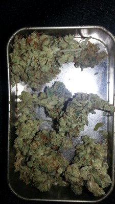 drugsarefunforyou:  Alaskan thunder fuck 