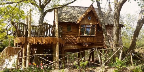 utwo:‘Tree House  ‘Higgledy’© blackberrywood  