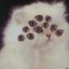 error0cat9