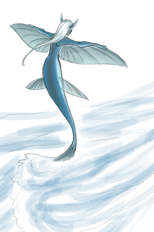 artisticmusings:dumb doodle of a tropical flying fish mermaid for Kantarli :D from the front she’s r