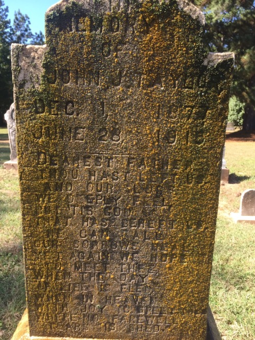 cemeteryconservation:  That is one long epitaph! Well done concrete marker. 