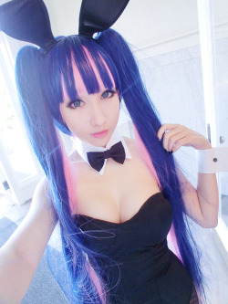 catherineanh:  stocking cosplay ~ :D 