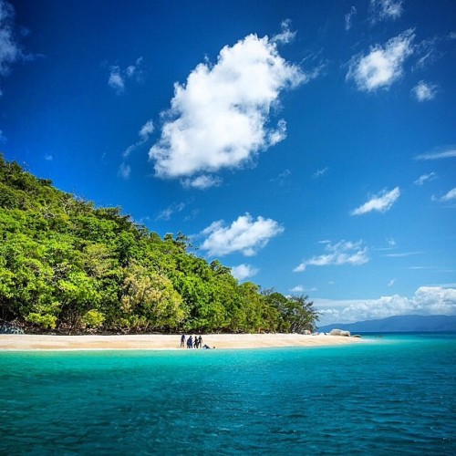 cindy1custard: Fitzroy island, queensland, australia