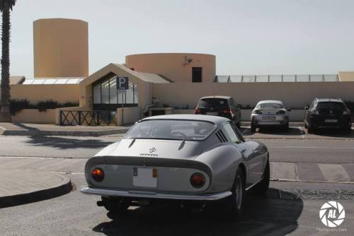 SCiP - FERRARI 275 GTB