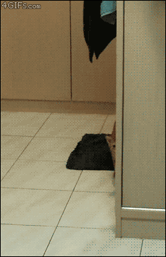 alexa7289:  Dafuq? 