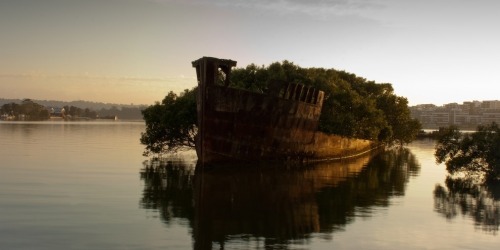 blumineck:Clustermagazine,  Beautiful places abandonedI love it when the vines and roots start to engulf the old jungle 