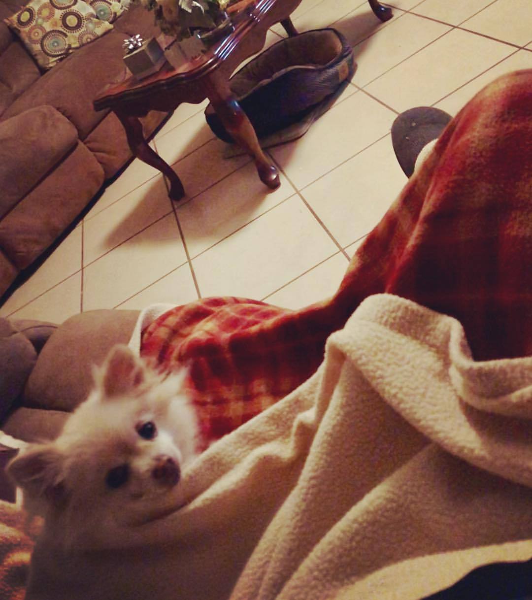 Getting cozy with Queeny. (at Hacienda Pèrez-Garcia) https://www.instagram.com/p/BtxYCXeHydm/?utm_source=ig_tumblr_share&amp;igshid=1praa2nqvrq3l