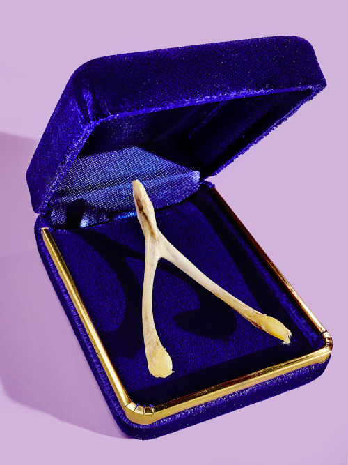 bobbydoherty:Wishbone for New York Magazine