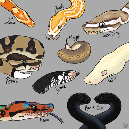 The Noodles of Reptiblr part 5! featuring some complex scale details that I don’t regret whatsoever&