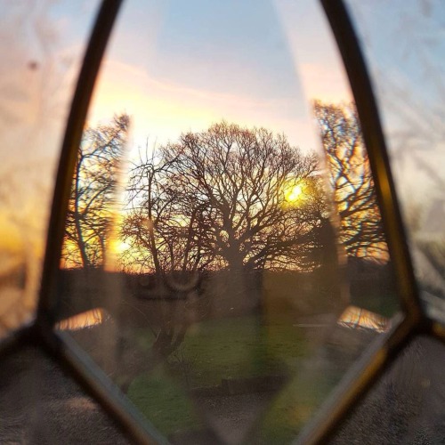 thewriterofthewoods: Beautiful sunrise in Oxfordshire. Shared with permission | By Emma T | @ETusty