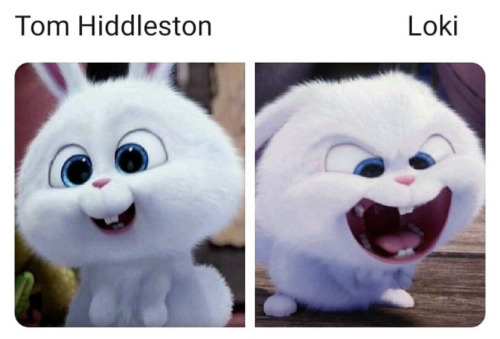 LoL!