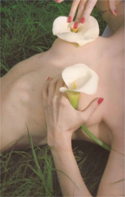 saloandseverine:  Teint de Nacre et Corps D’Ivoire, Yves Saint Laurent Beaute by Guy Bourdin 