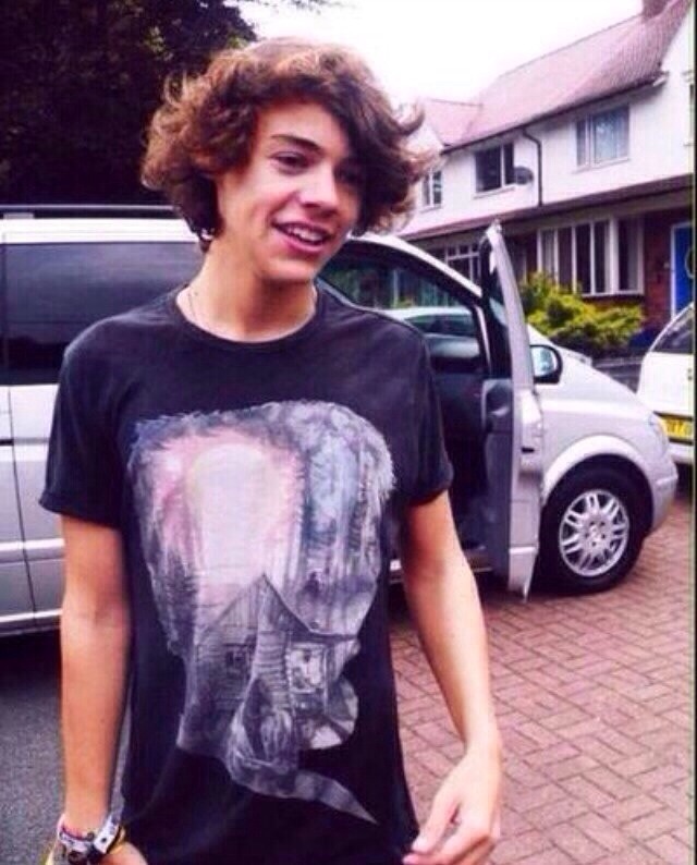 ayyotommo: 17 year old harry was the best Harry reblog if you’re a true 90s kid