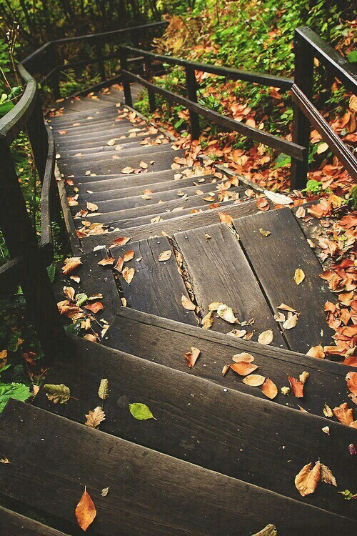 Sonbahar on We Heart It - weheartit.com/entry/203502757