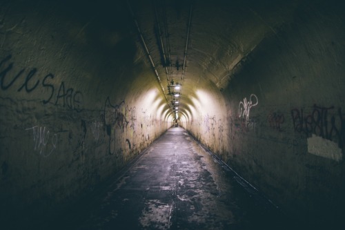 denn-ice: 293/365 2014